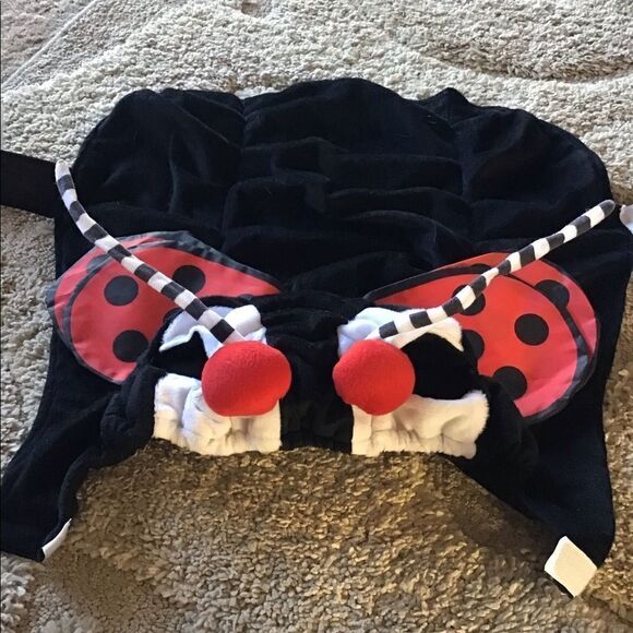 Ladybug Pet Costume  - Picture 3 of 3